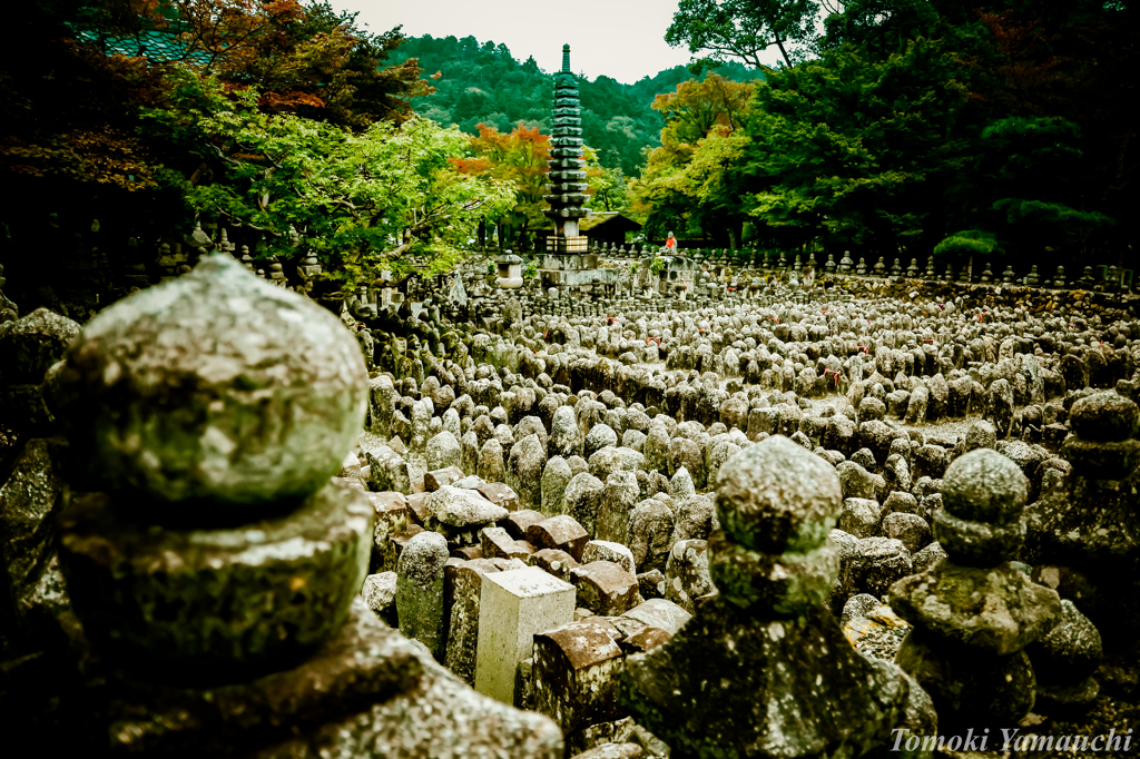 嵯峨野・化野念仏寺　石仏