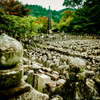 嵯峨野・化野念仏寺　石仏