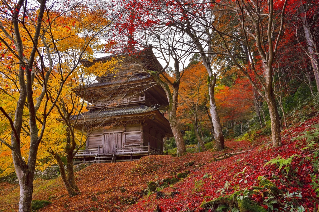 丹波・高源寺　三重塔