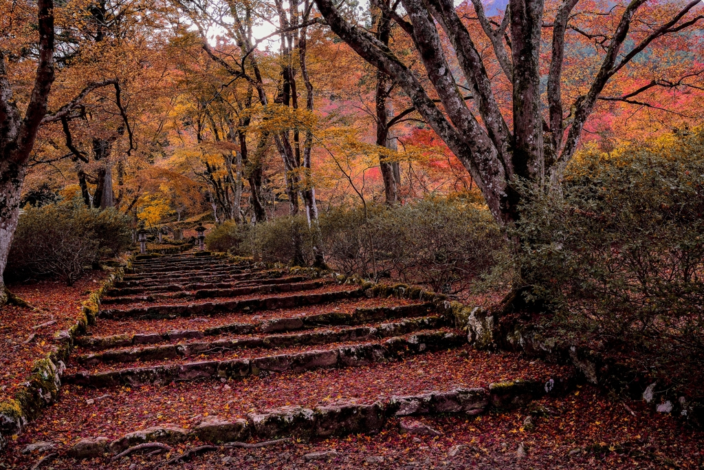 丹波・高源寺