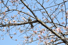 一休み
