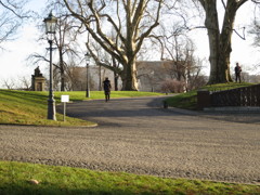 ドレスデンの公園