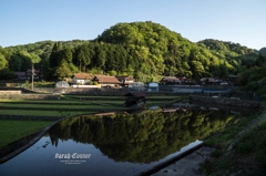 水田鏡