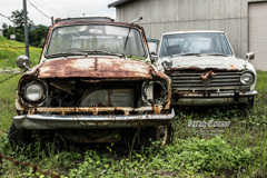 高田の廃車-5