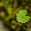 _DSC1280