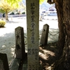 樹齢1200年の銀杏-1