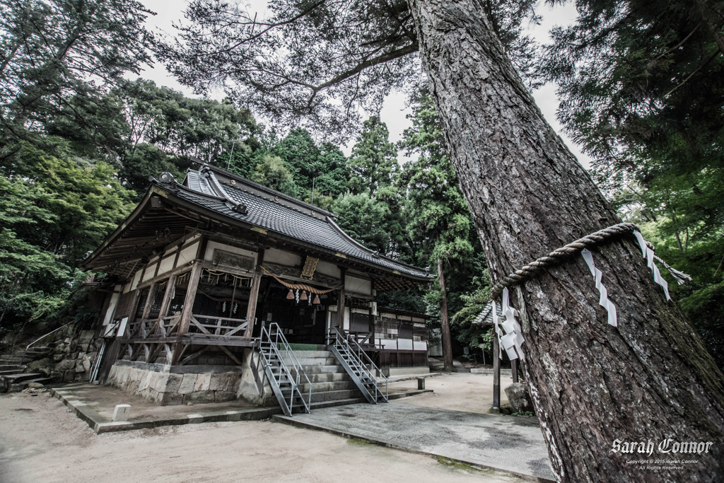 神社