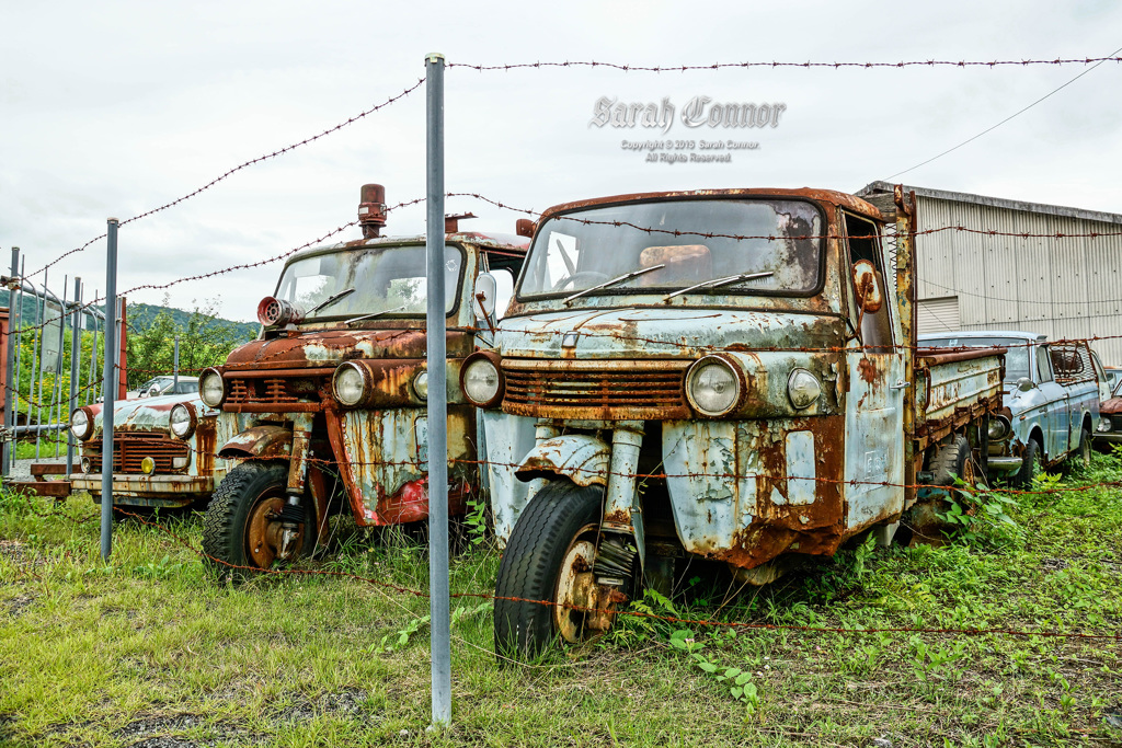 高田の廃車-1