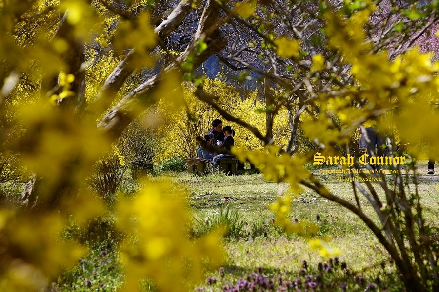 休日の過ごし方