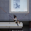 JUMP