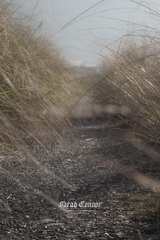 河川敷で