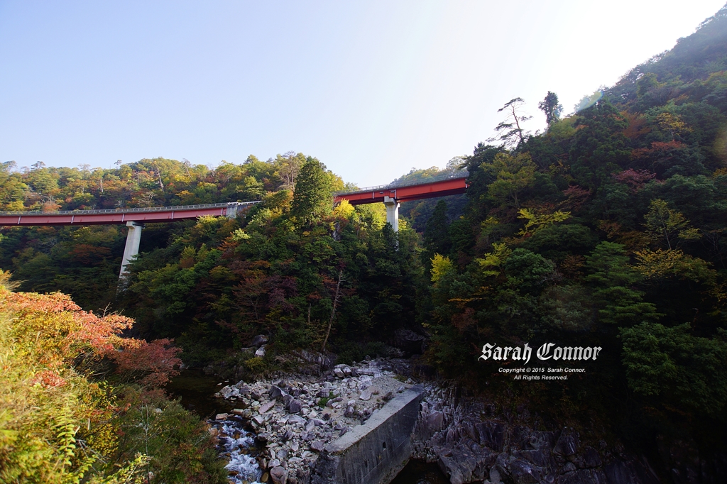 高速道路の見える風景