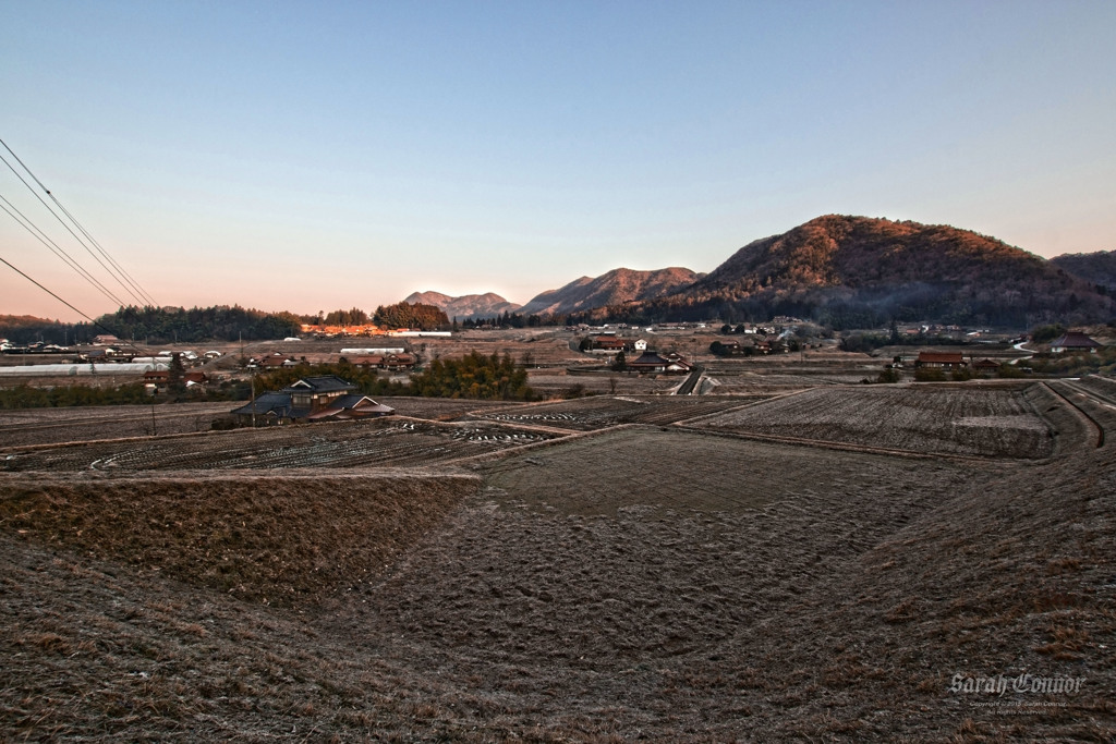 明るい農村