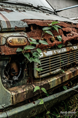 高田の廃車-7