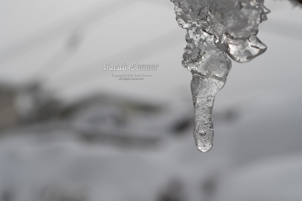 氷柱