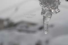 氷柱
