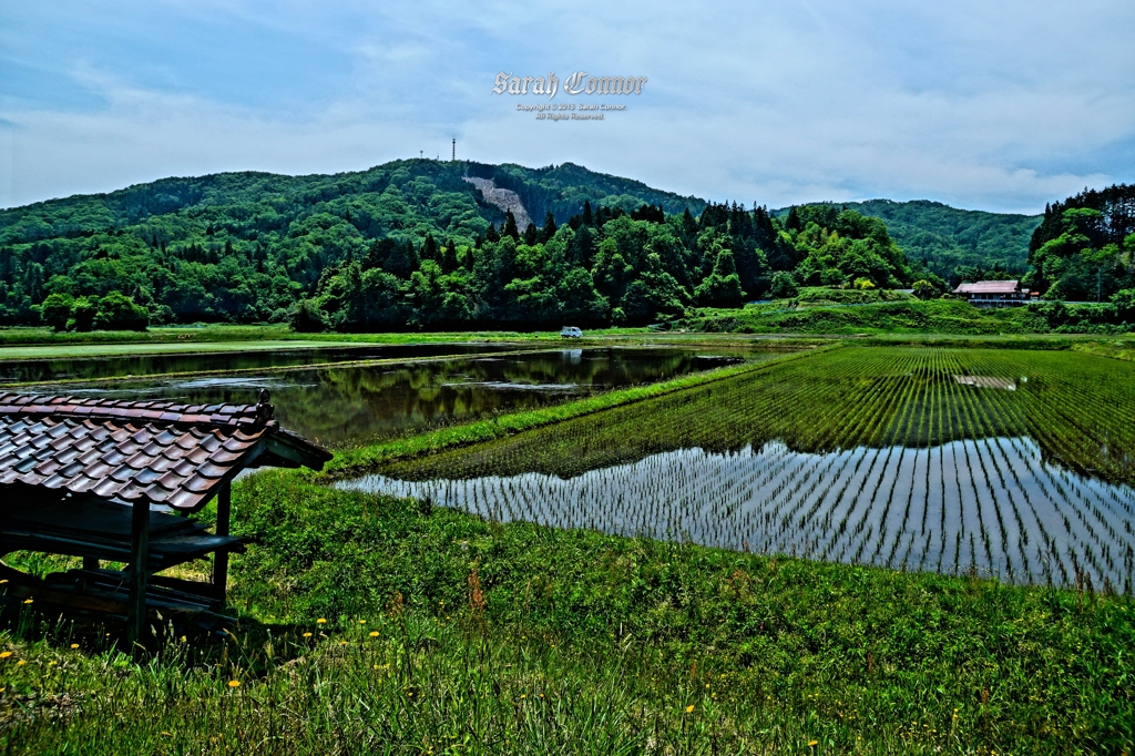 田園風景