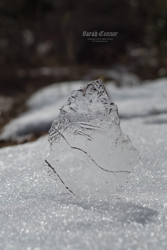 氷の板