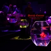 アートアクアリウムHIROSHIMA 2015-11