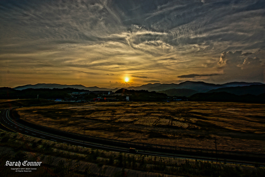 広すぎる空き地