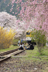 電車と桜と犬とカメラ女子