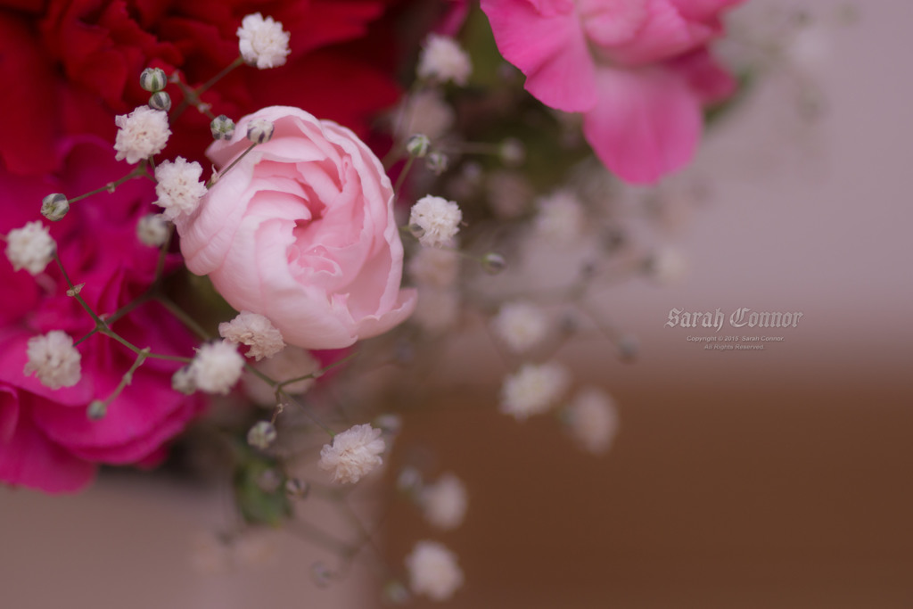 母の日の花