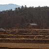 小屋小屋小屋