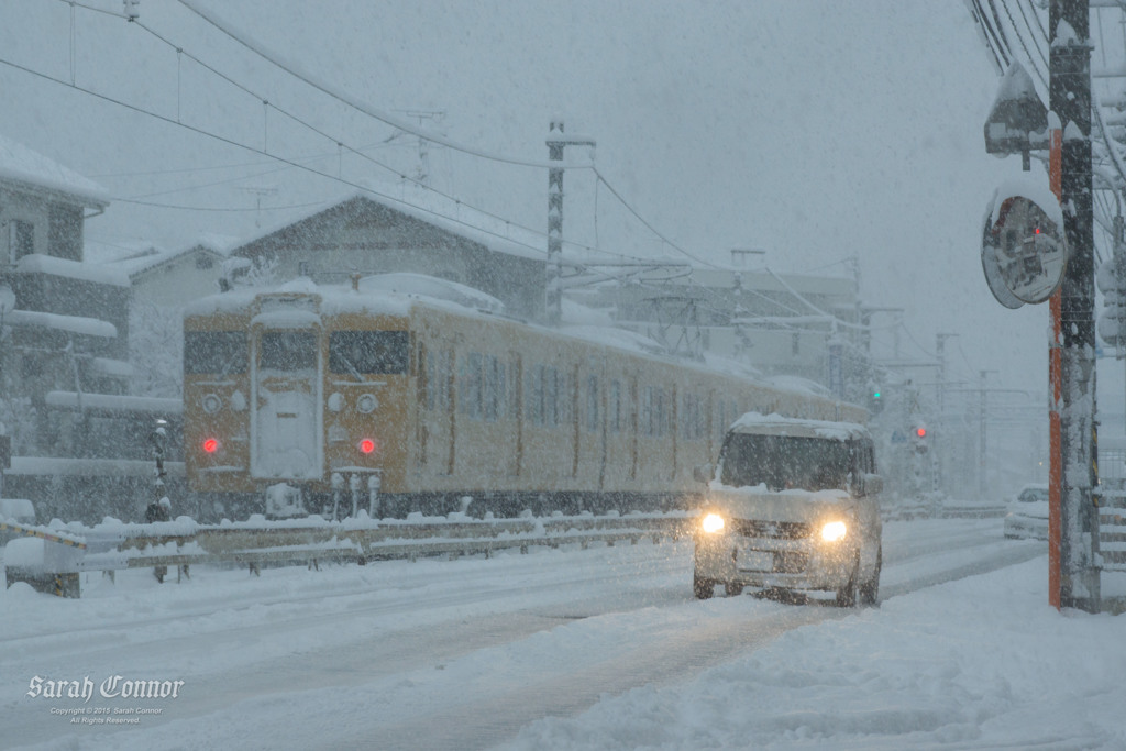 雪の朝