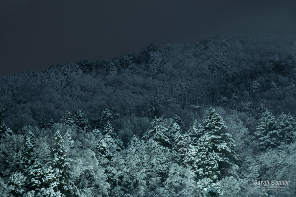 夜の白い山