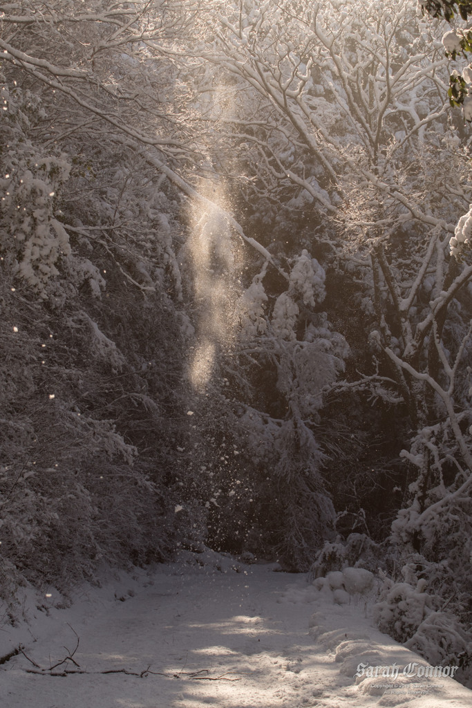 雪崩粉雪