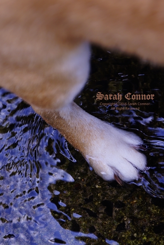 あんよ気持ちいい～