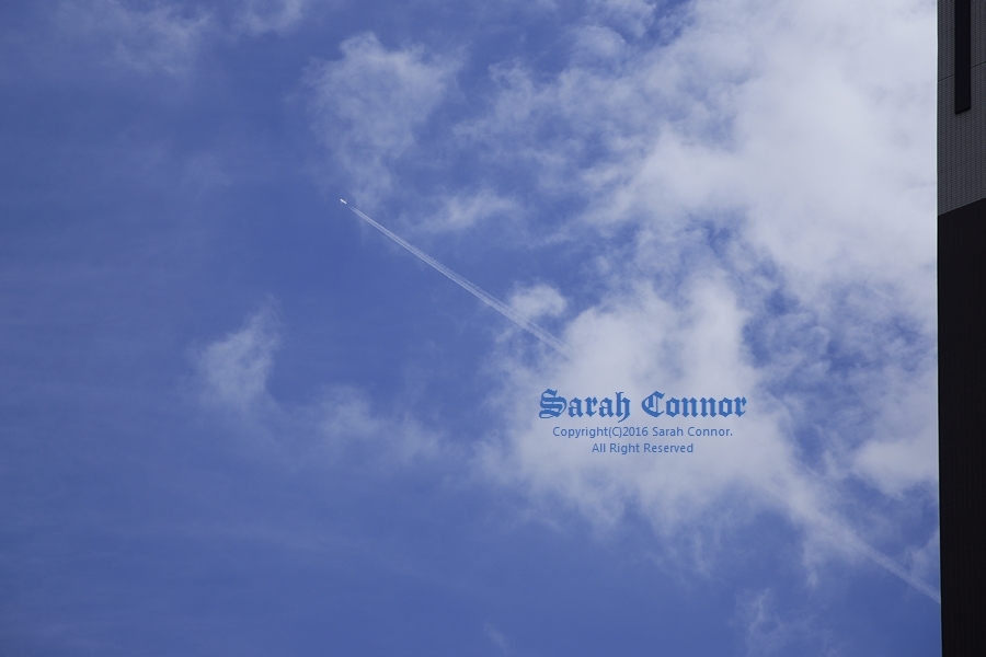 久々の青空
