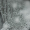 ミラーに映る雪国