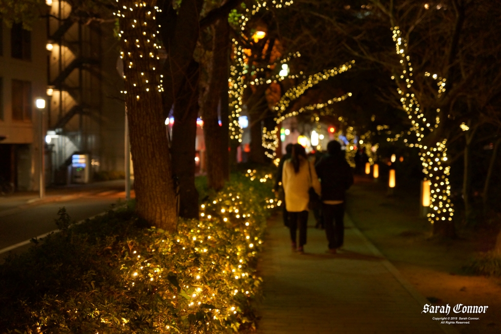 イヴの夜はカップルの夜