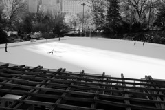 パーク百景 Wollman Skating Rink