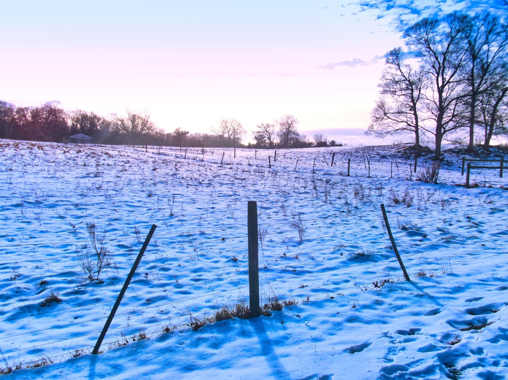 Snowy Farmland