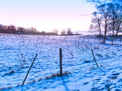 Snowy Farmland