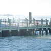 桟橋
