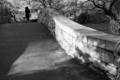 パーク百景 Gapstow Bridge