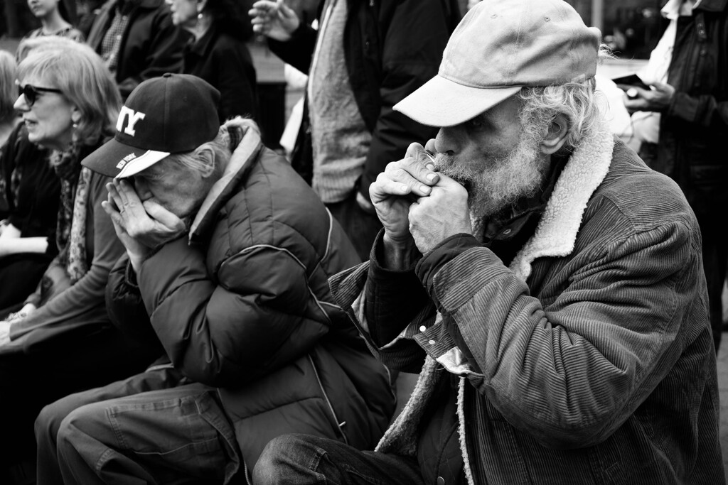 old men playing blues harp