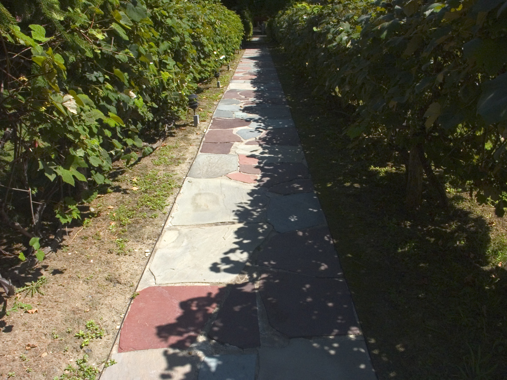 Seeing Gardens 4