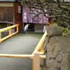 お客様ですよ～