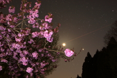 星空と八重桜