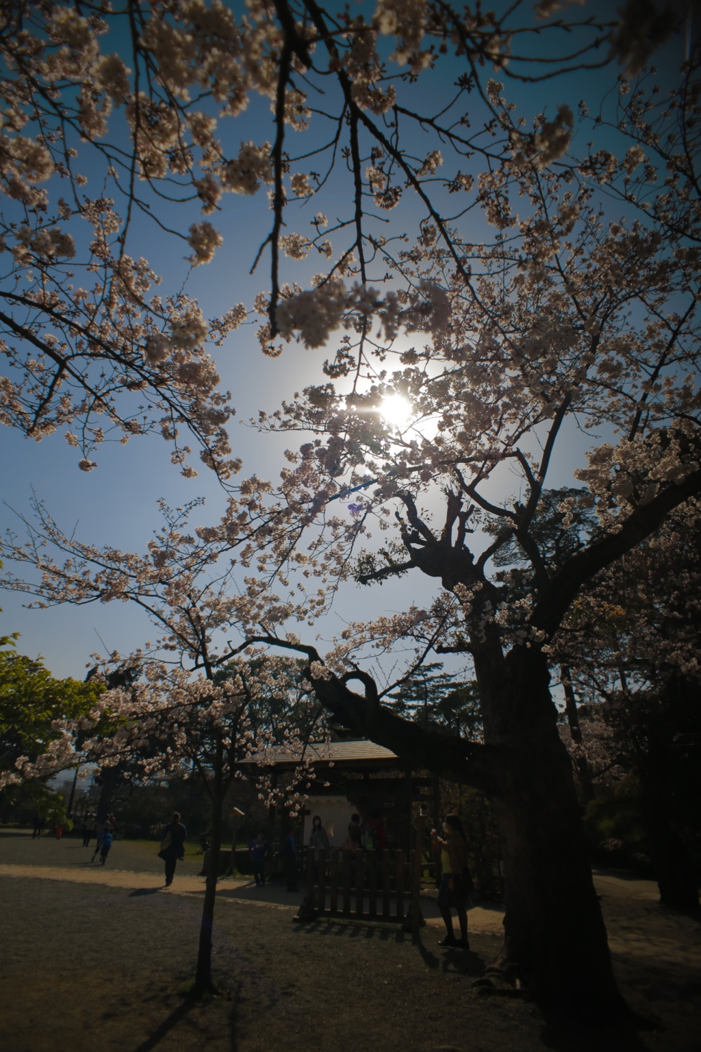 最高気温20.6℃