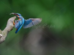 ただいまっ！