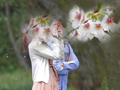 あなた撮る人