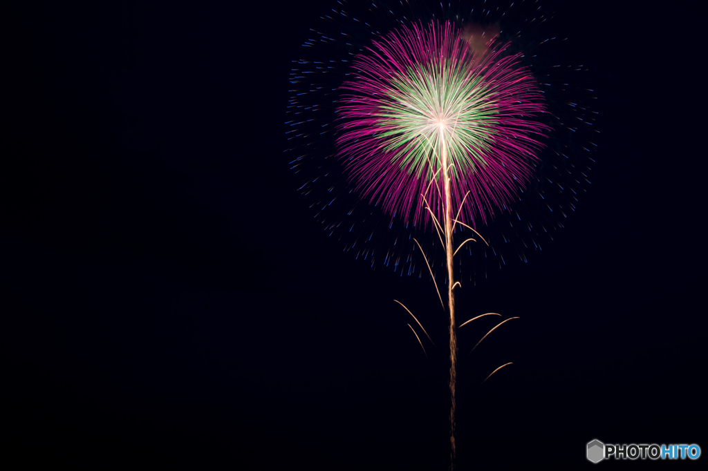 一輪の花