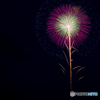 一輪の花