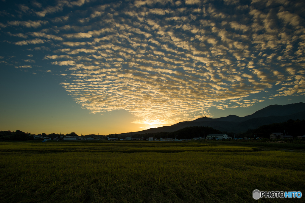 佐渡の風景②