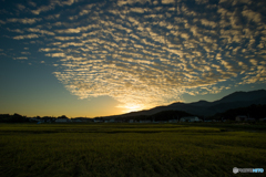 佐渡の風景②